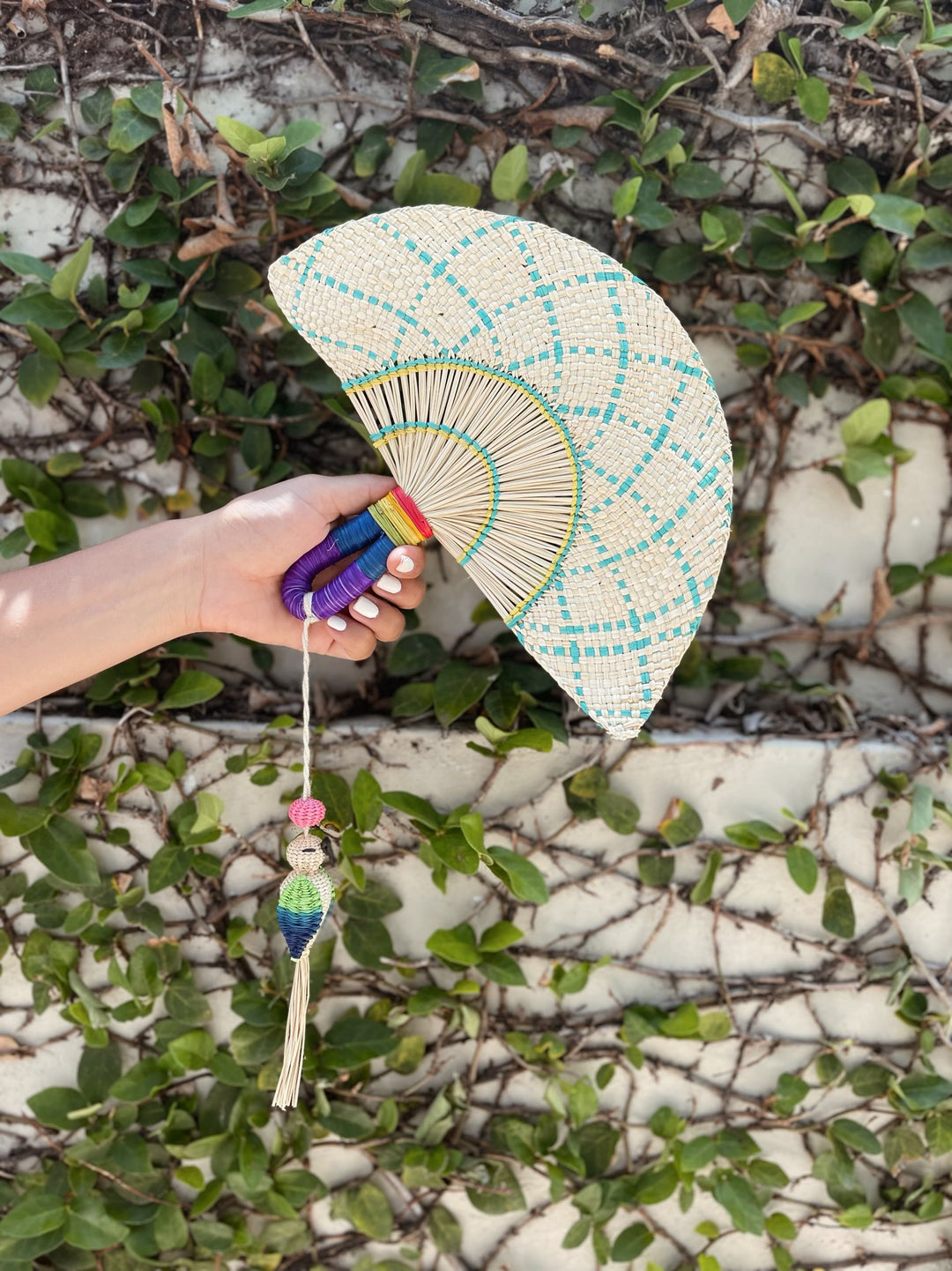 Hand Fan Multicolor